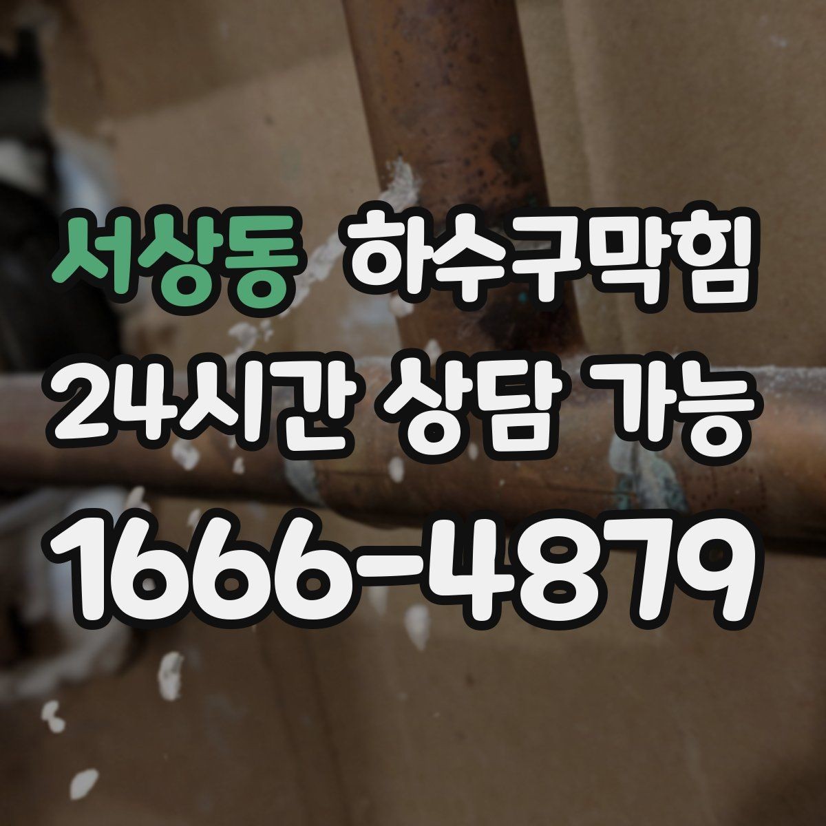 서상동 하수구막힘 아파트 하수구뚫기와 복도 식물의 기지개
