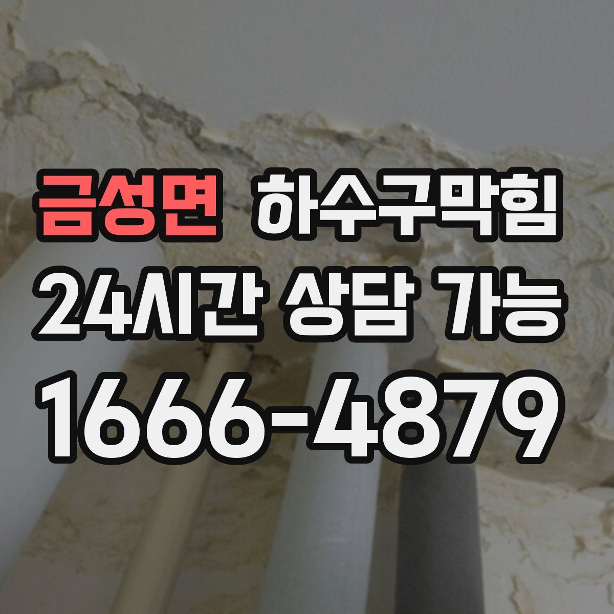 금성면 하수구막힘