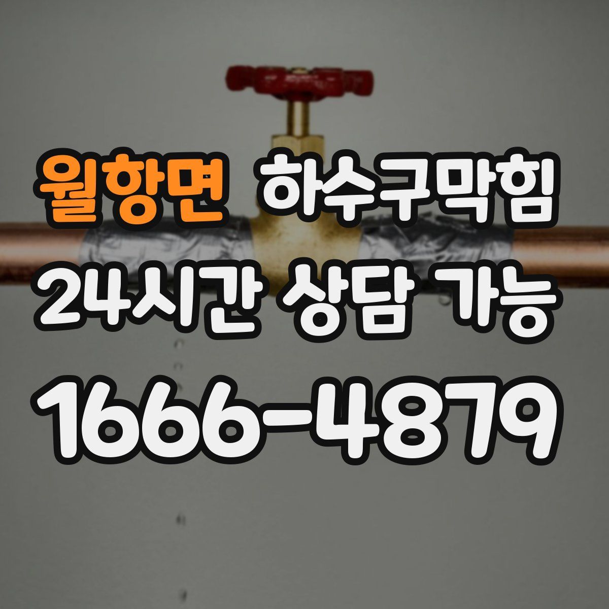 월항면 하수구막힘