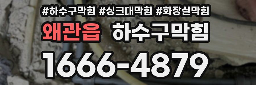 하수구막힘
