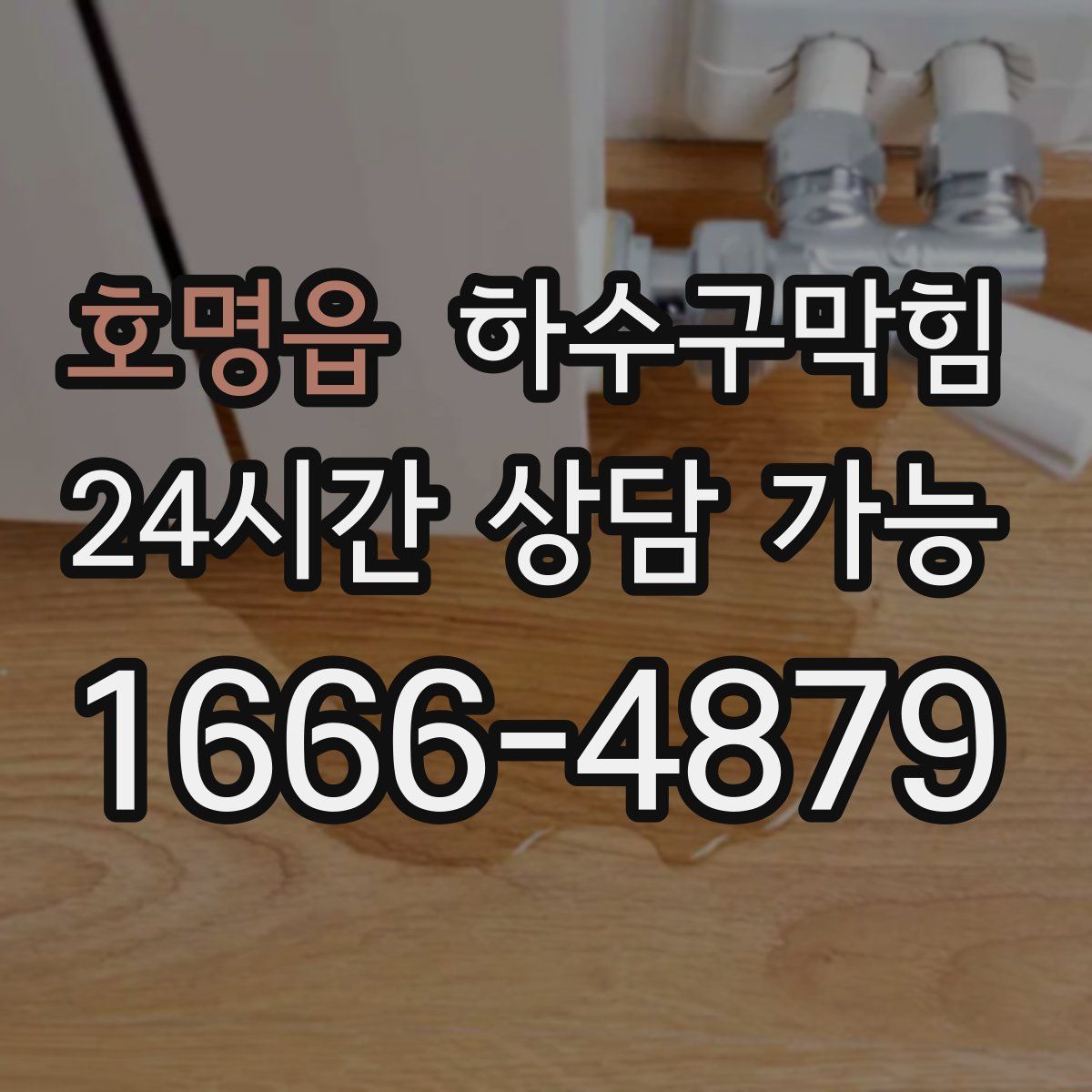 호명읍 하수구막힘