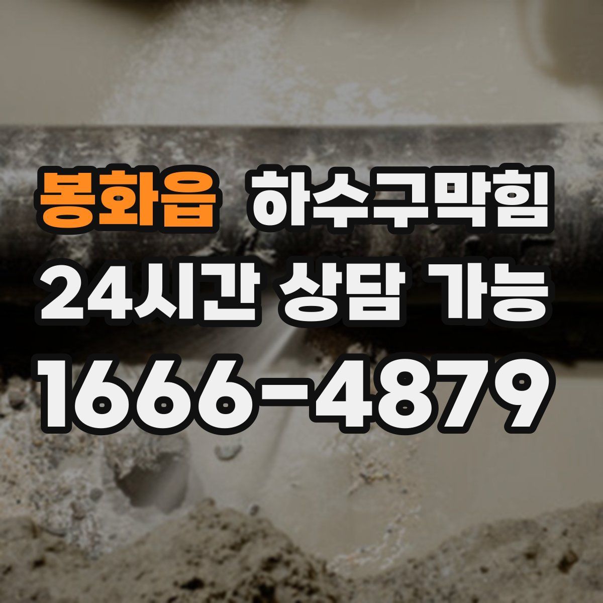 봉화읍 하수구막힘