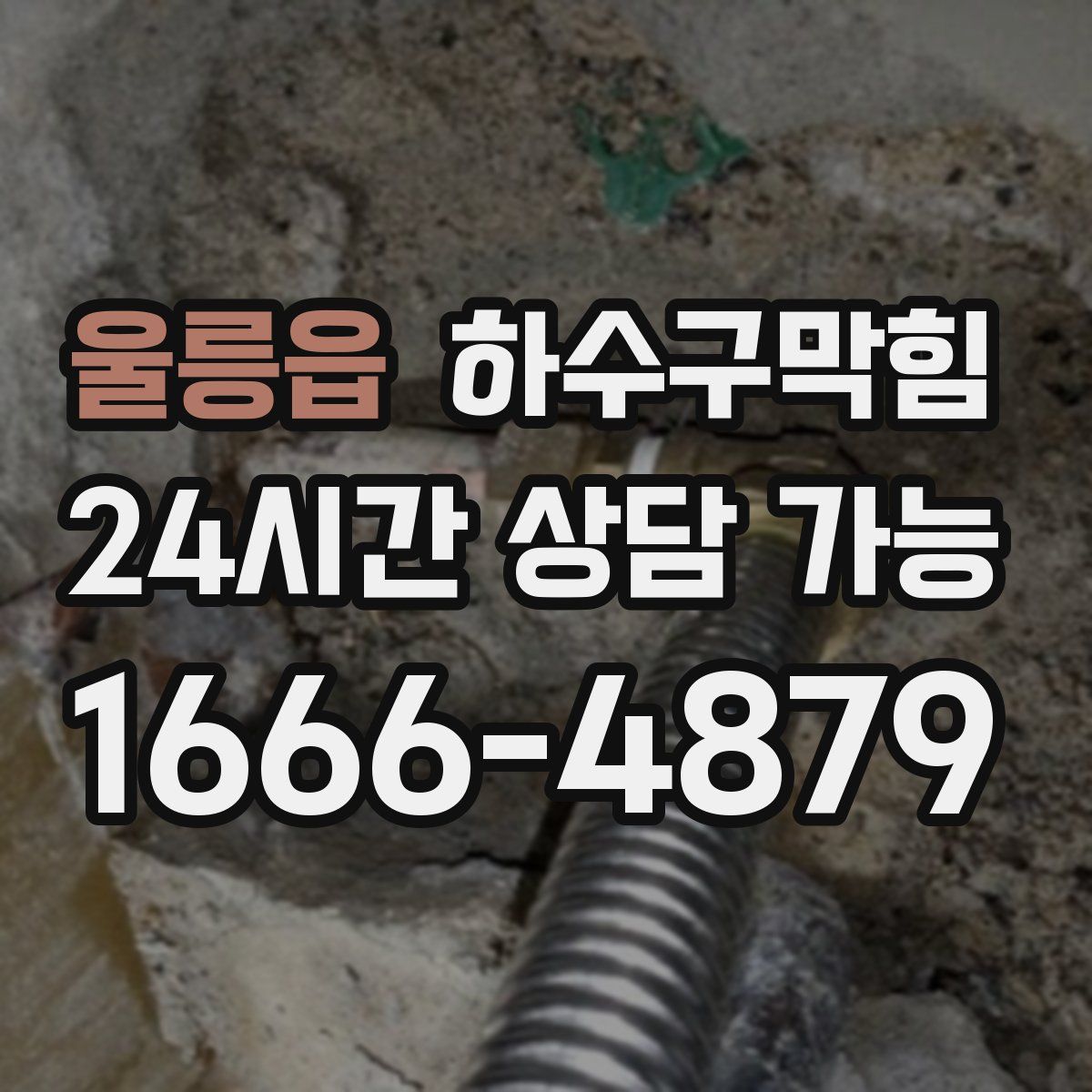 울릉읍 하수구막힘