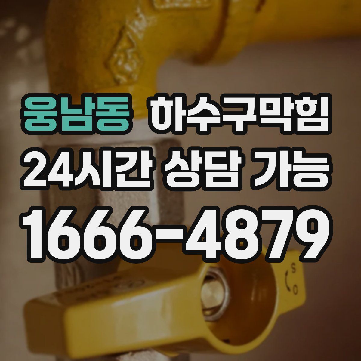 웅남동 하수구막힘