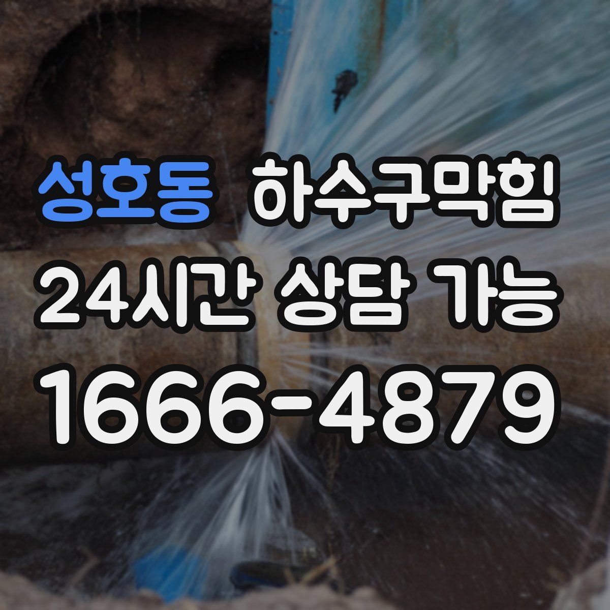 성호동 하수구막힘