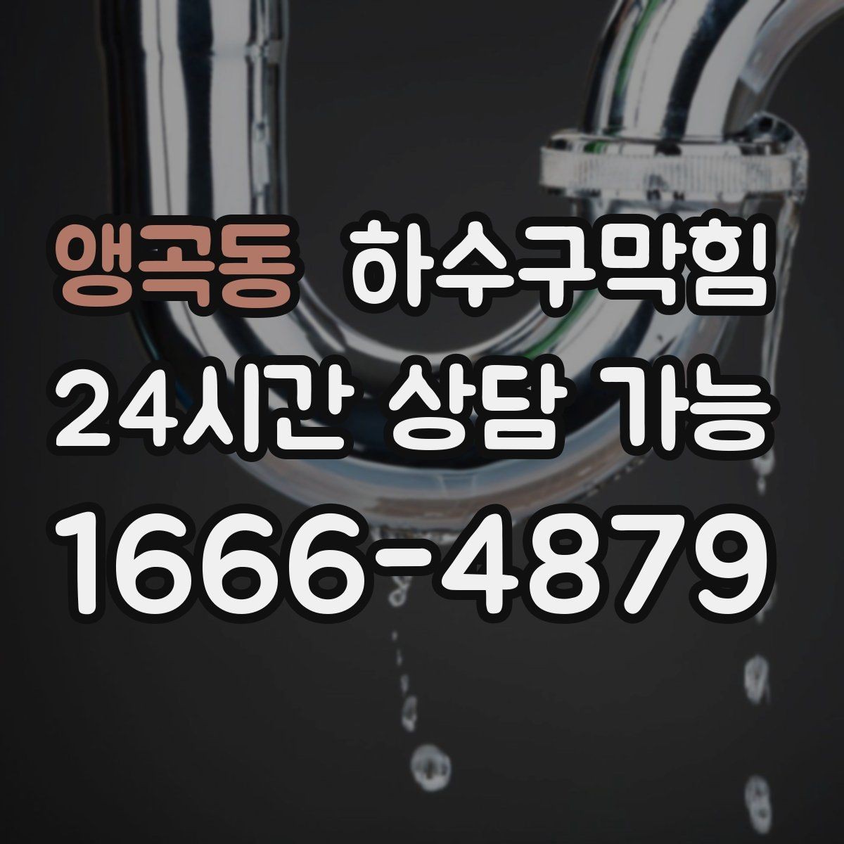 앵곡동 하수구막힘 포토존 바닥 러그가 젖던 이유