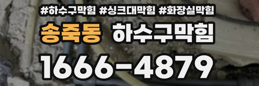 하수구막힘