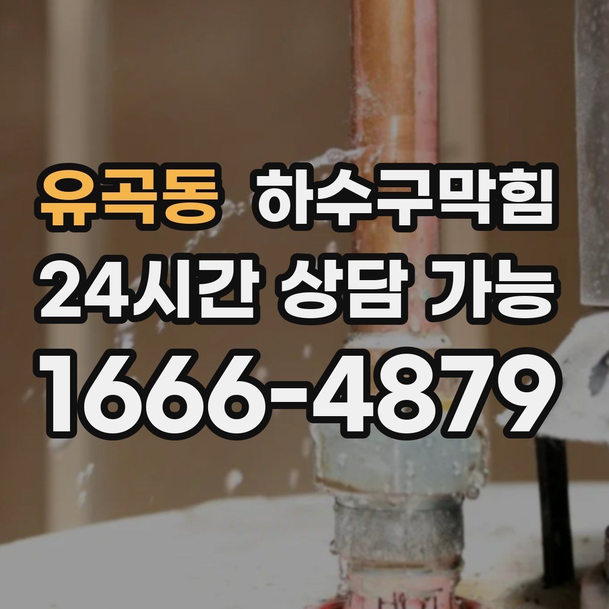 유곡동 하수구막힘 테라스 파라솔이 젖어 있던 까닭