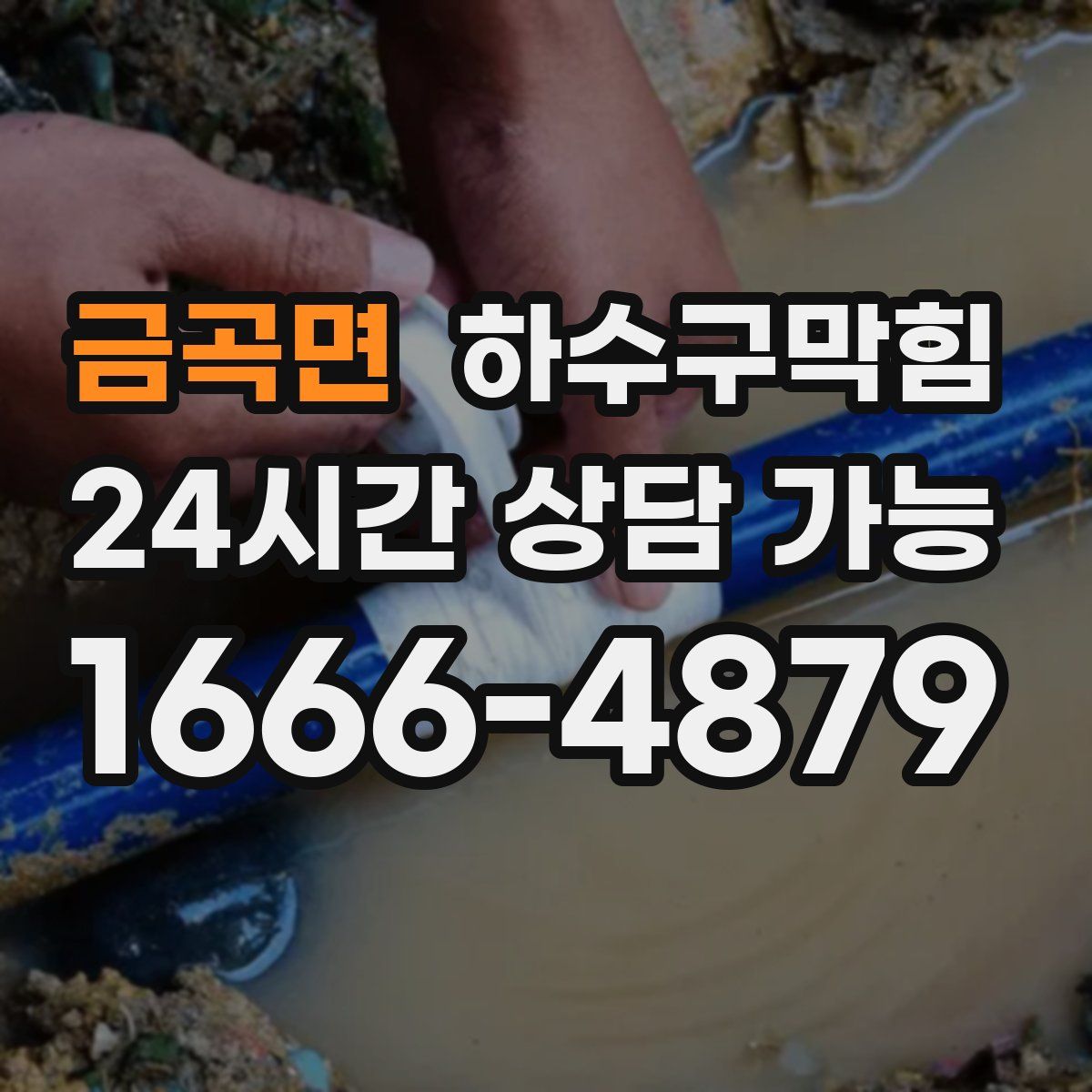 금곡면 하수구막힘