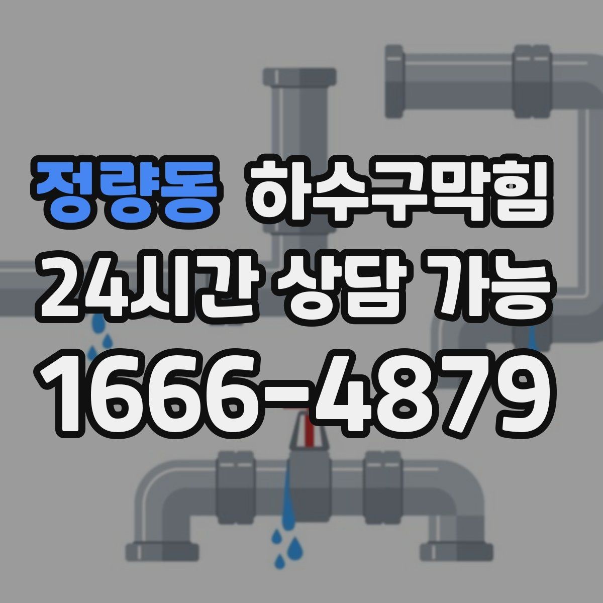 정량동 하수구막힘 창가 화분 잎이 축 늘어진 이유