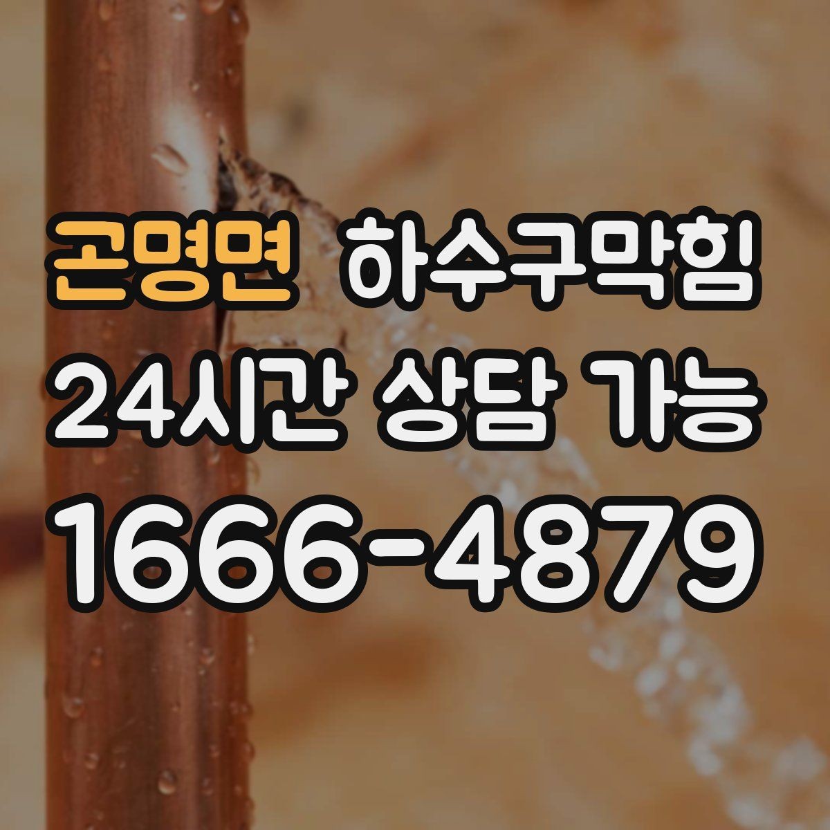 곤명면 하수구막힘 상가 테넌트 교체 전 표준 점검