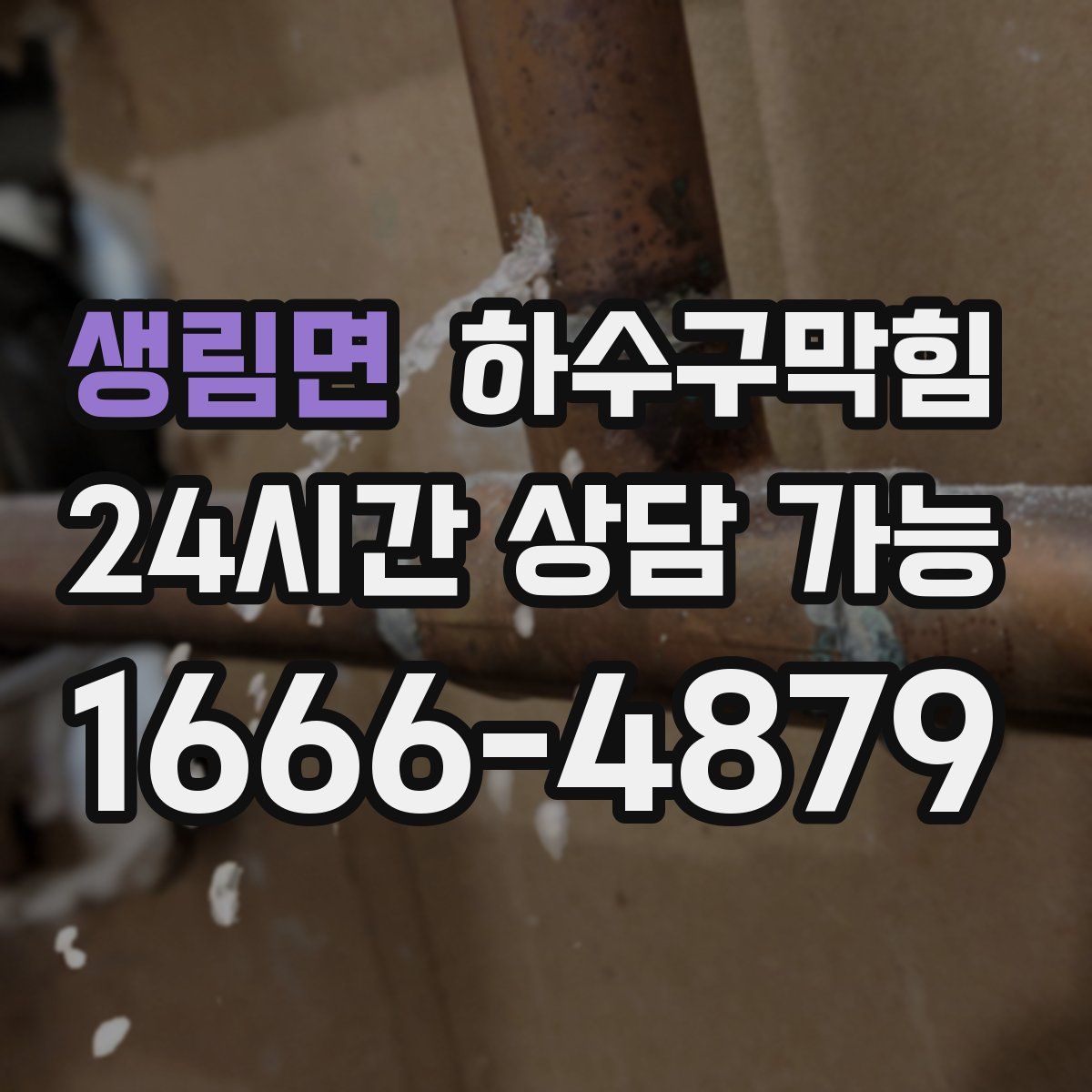 생림면 하수구막힘