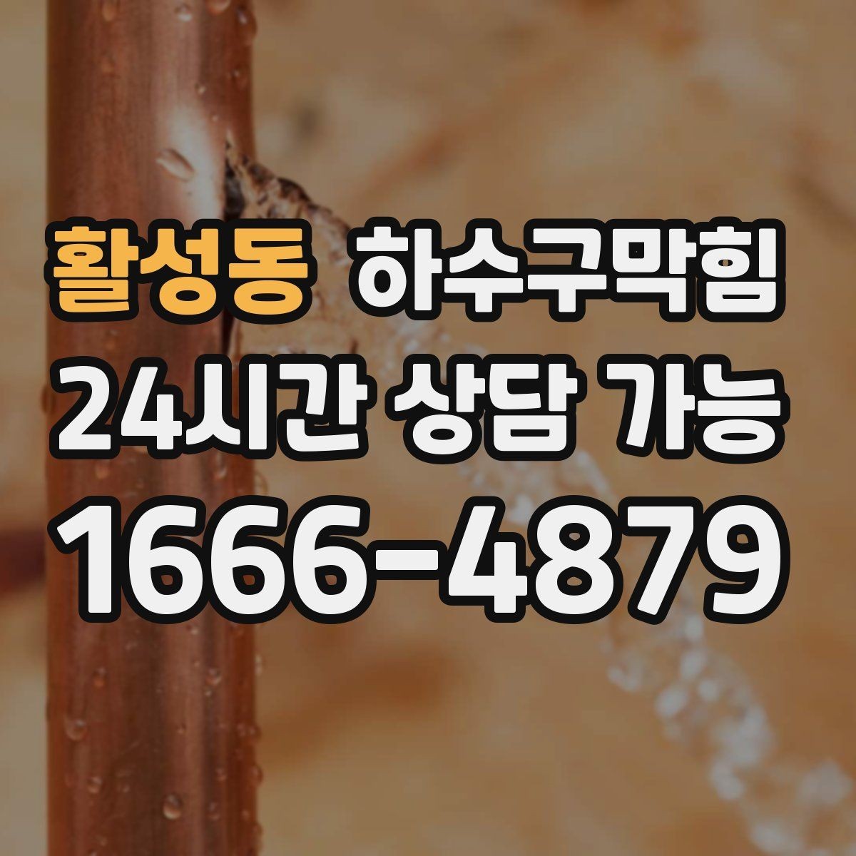 활성동 하수구막힘 빌라 화장실역류 현장에서 들은 소리
