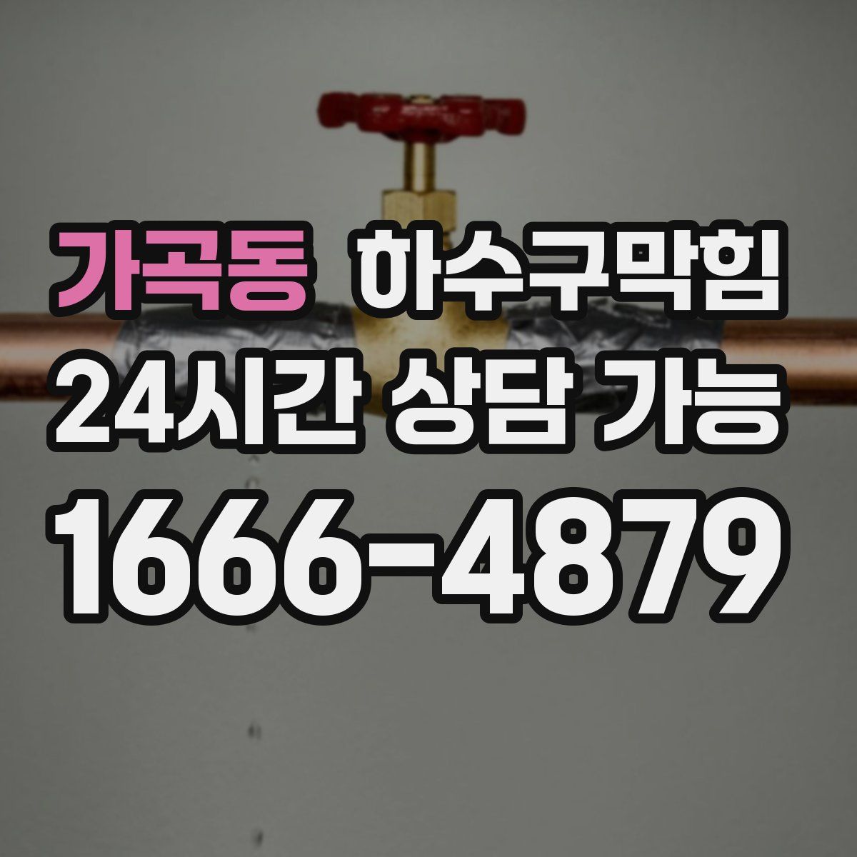 가곡동 하수구막힘