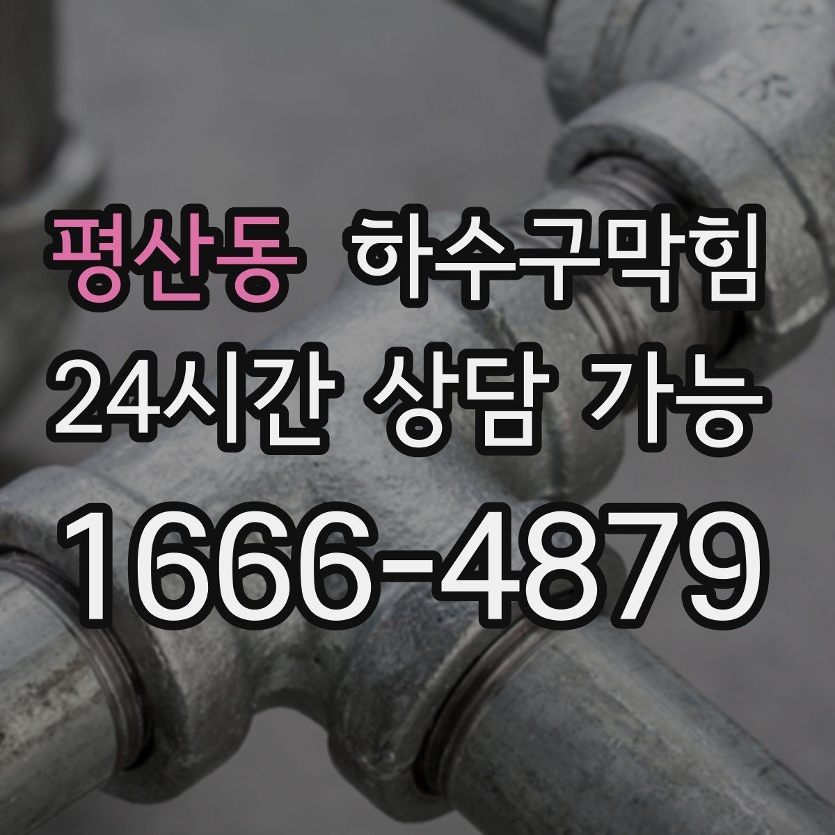 평산동 하수구막힘 반려 가게의 낮잠 시간을 지킨 결정