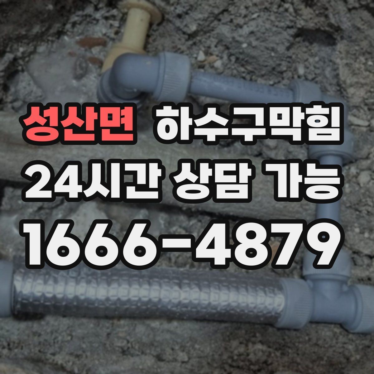 성산면 하수구막힘 카페 변기막힘이 음료 동선을 멈춘 짧은 순간