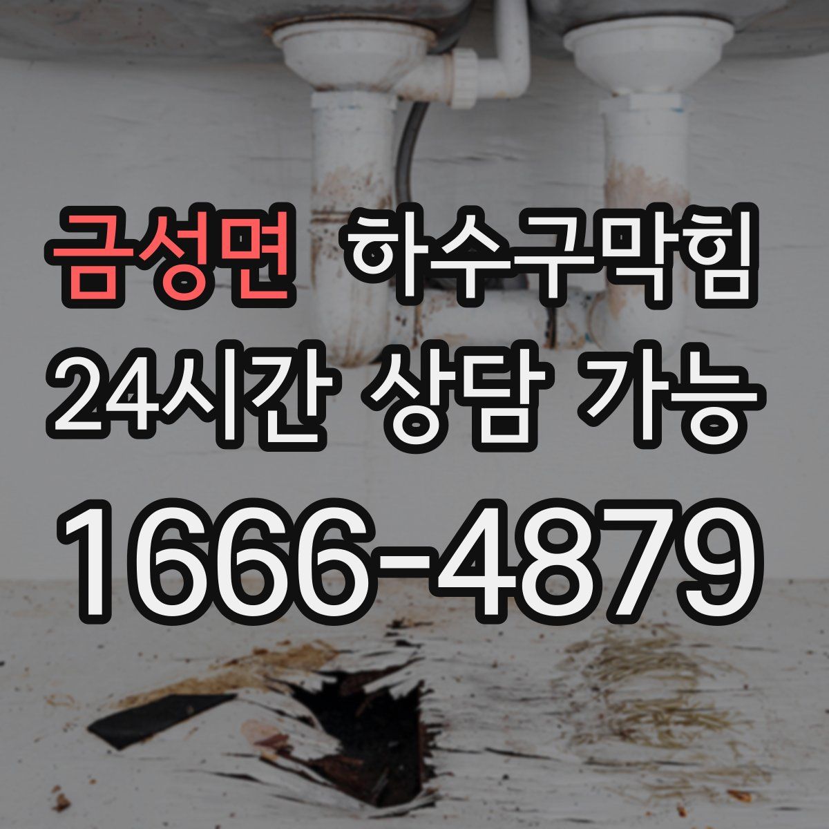 금성면 하수구막힘