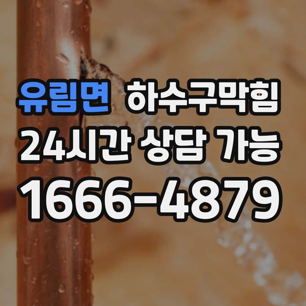 유림면 하수구막힘