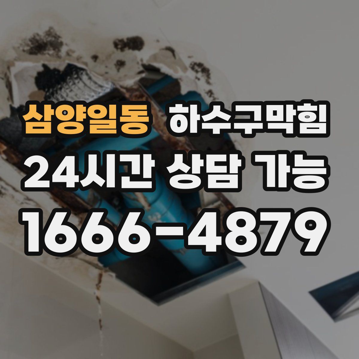 삼양일동 하수구막힘