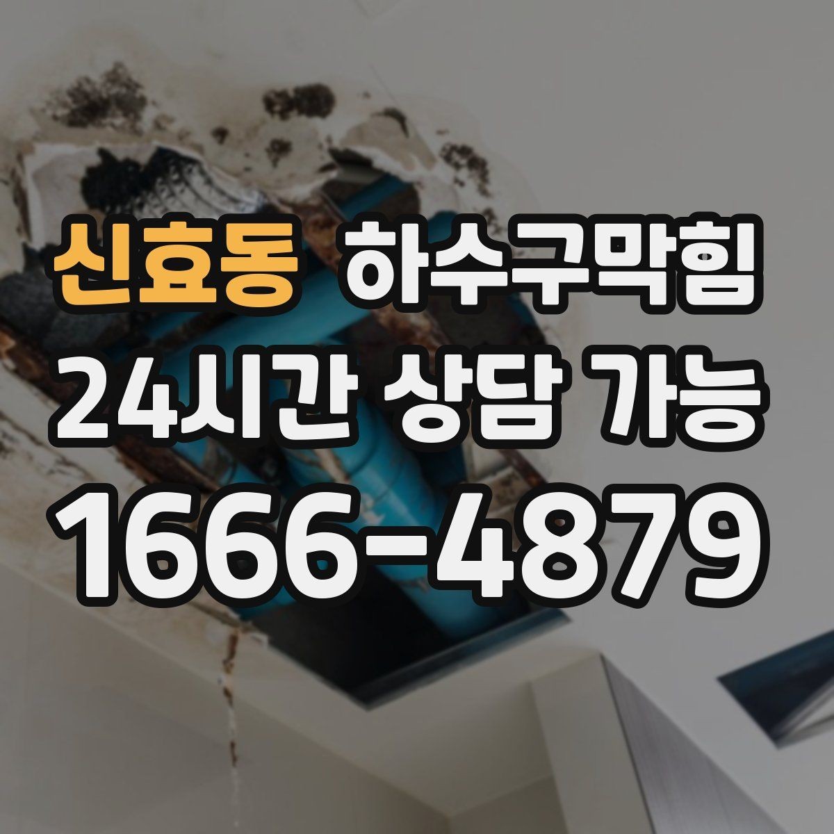 신효동 하수구막힘 대형 쓰레기 배출일과 냄새의 상관