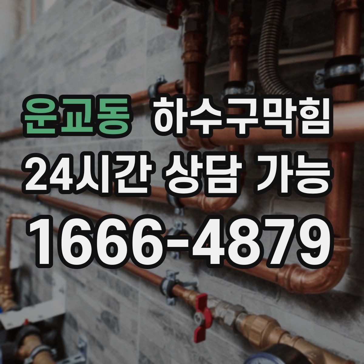 운교동 하수구막힘 세탁실 거품 역류가 알려주는 신호