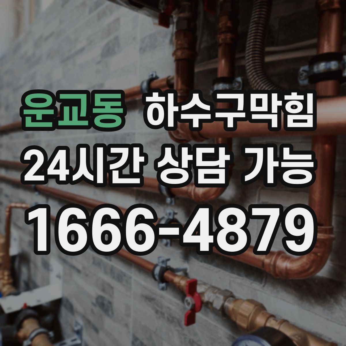 운교동 하수구막힘