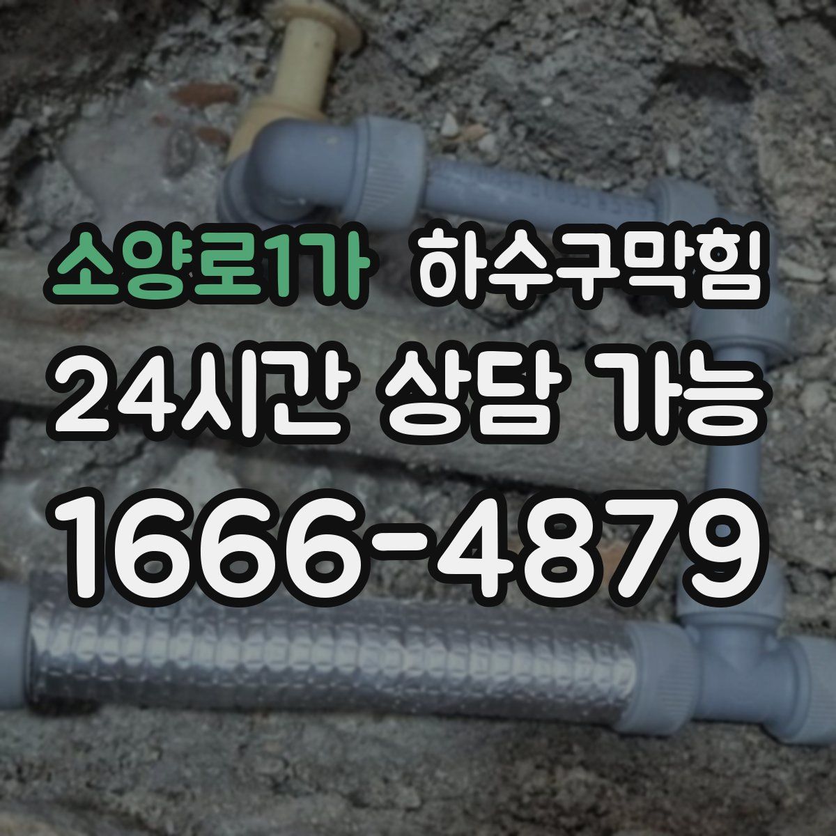 소양로1가 하수구막힘