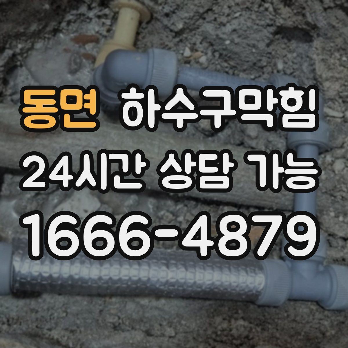 동면 하수구막힘 테라스 화분 흙과 배수의 엇박자