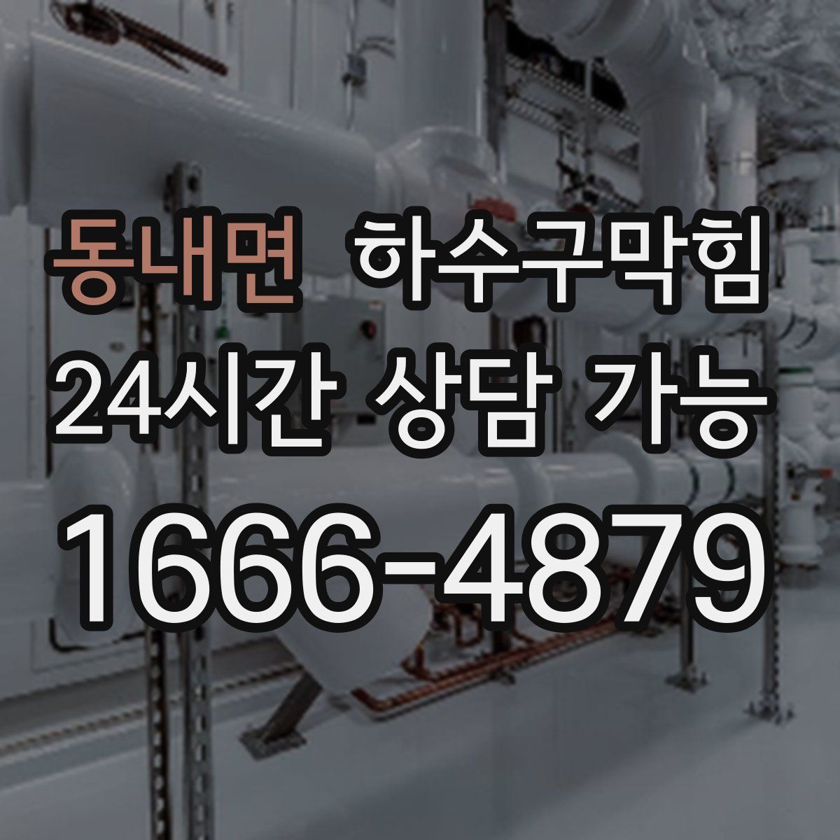 동내면 하수구막힘