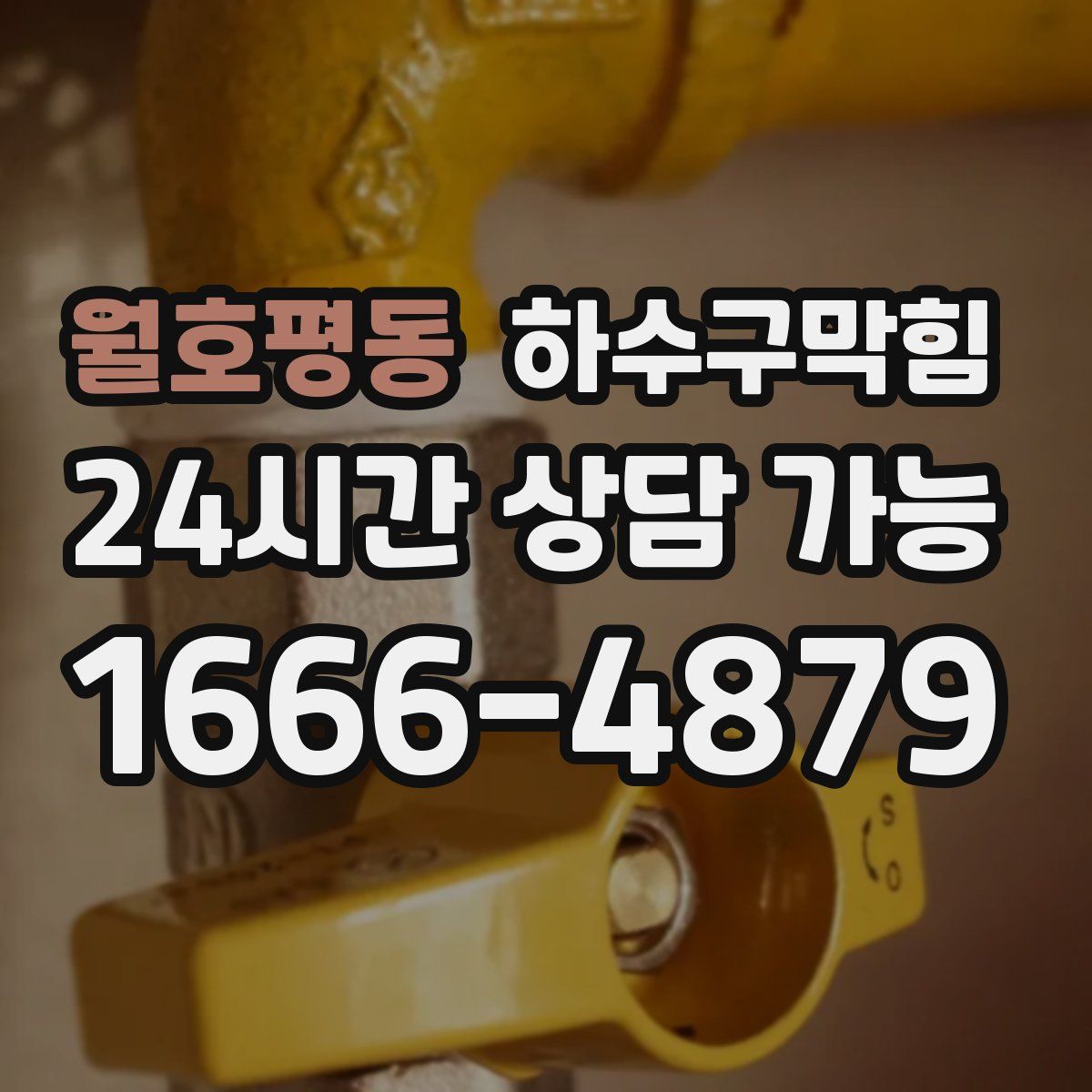 월호평동 하수구막힘