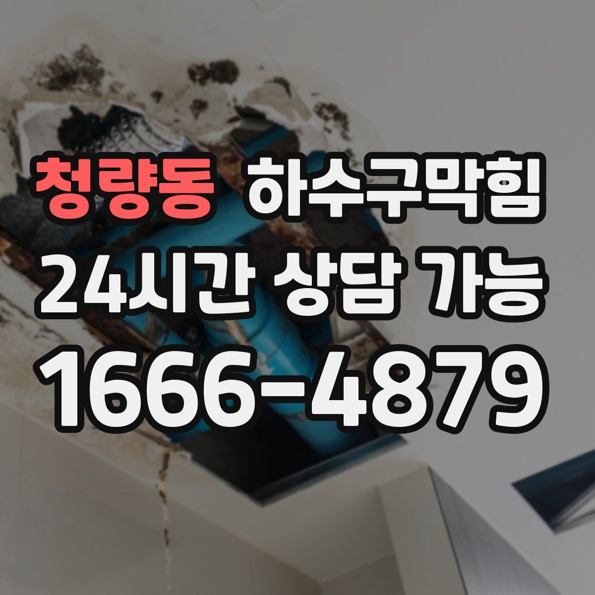 청량동 하수구막힘