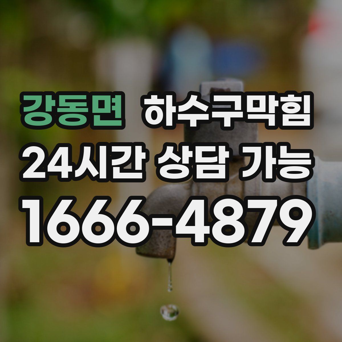 강동면 하수구막힘