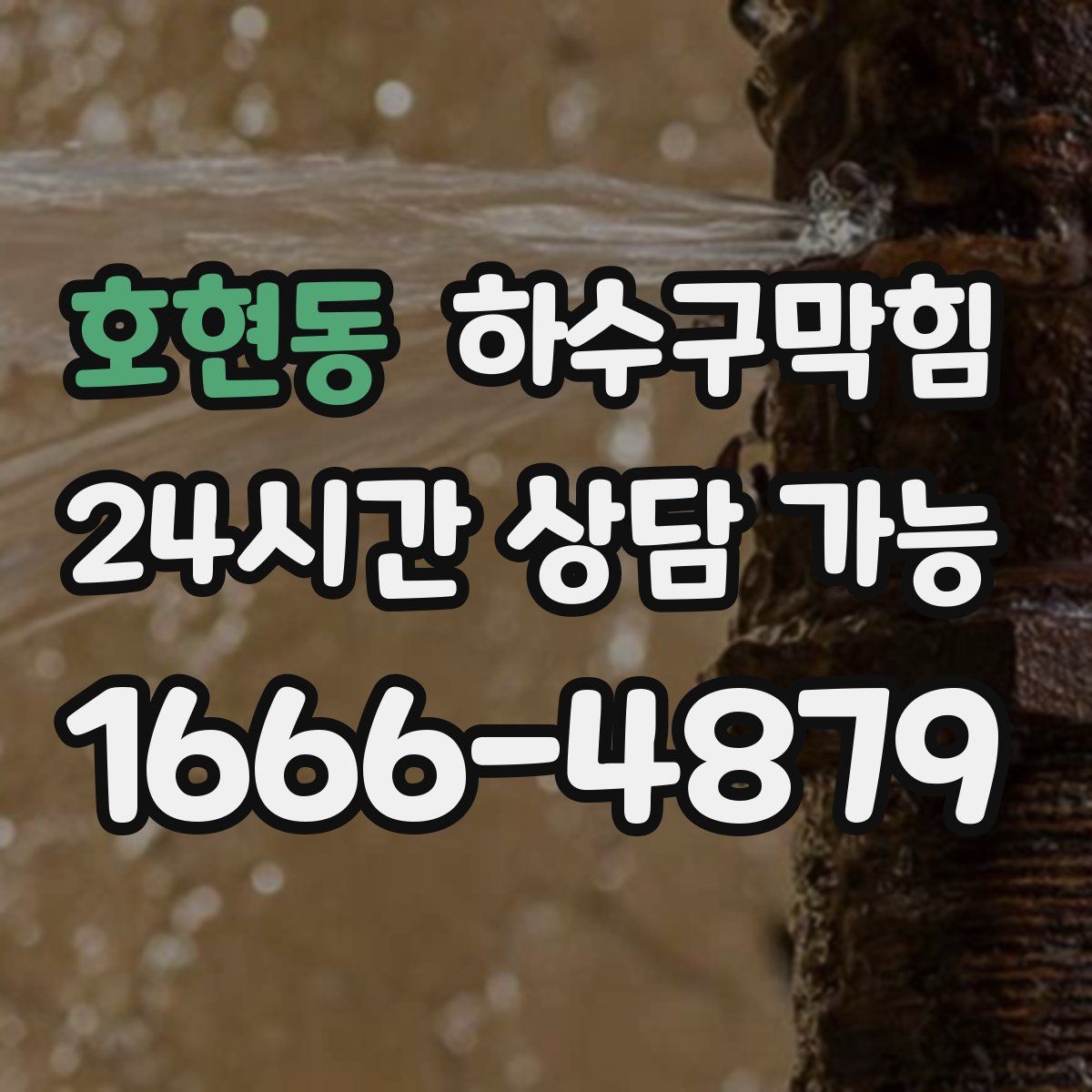 호현동 하수구막힘