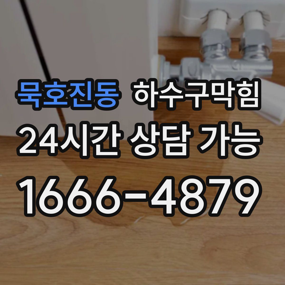 묵호진동 하수구막힘