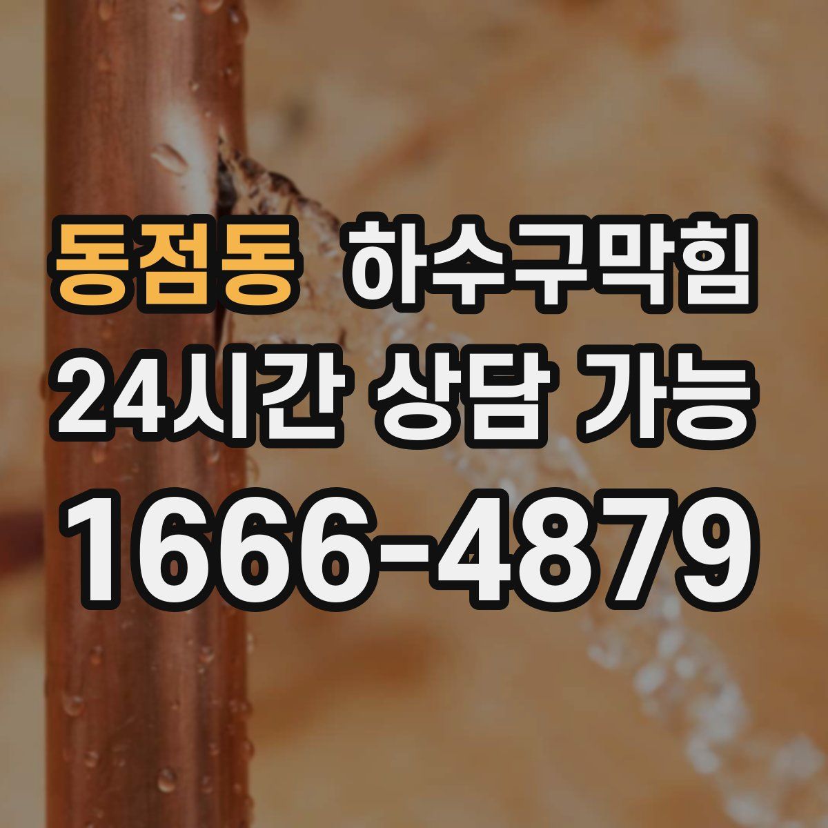 동점동 하수구막힘