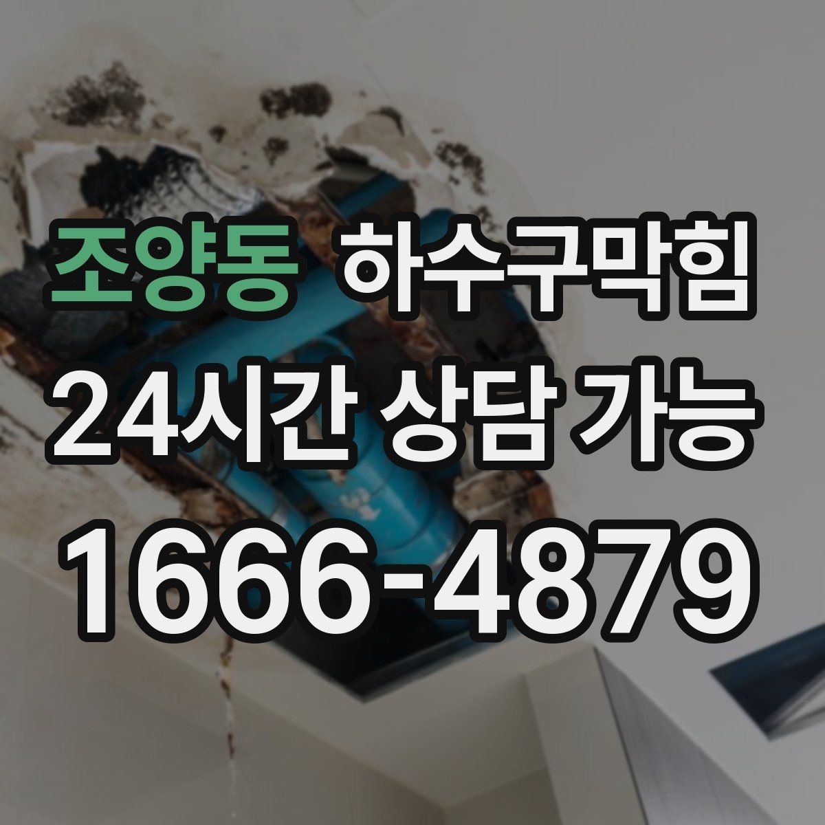조양동 하수구막힘 조용한 밤을 깨는 소리의 정체를 좇다