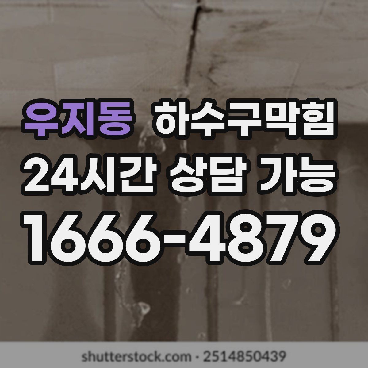 우지동 하수구막힘 반지하 창틀 곰팡이가 가리킨 곳