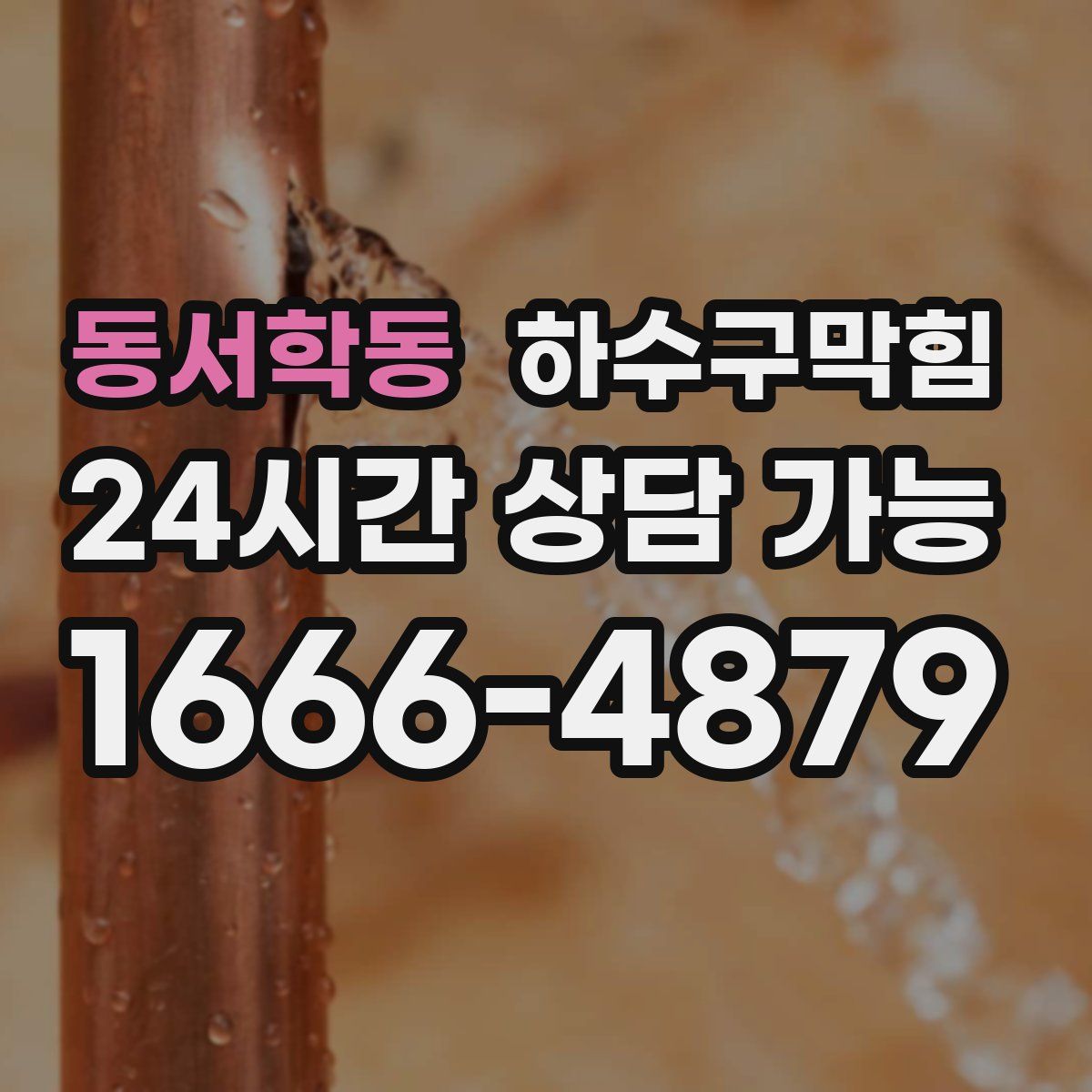 동서학동 하수구막힘