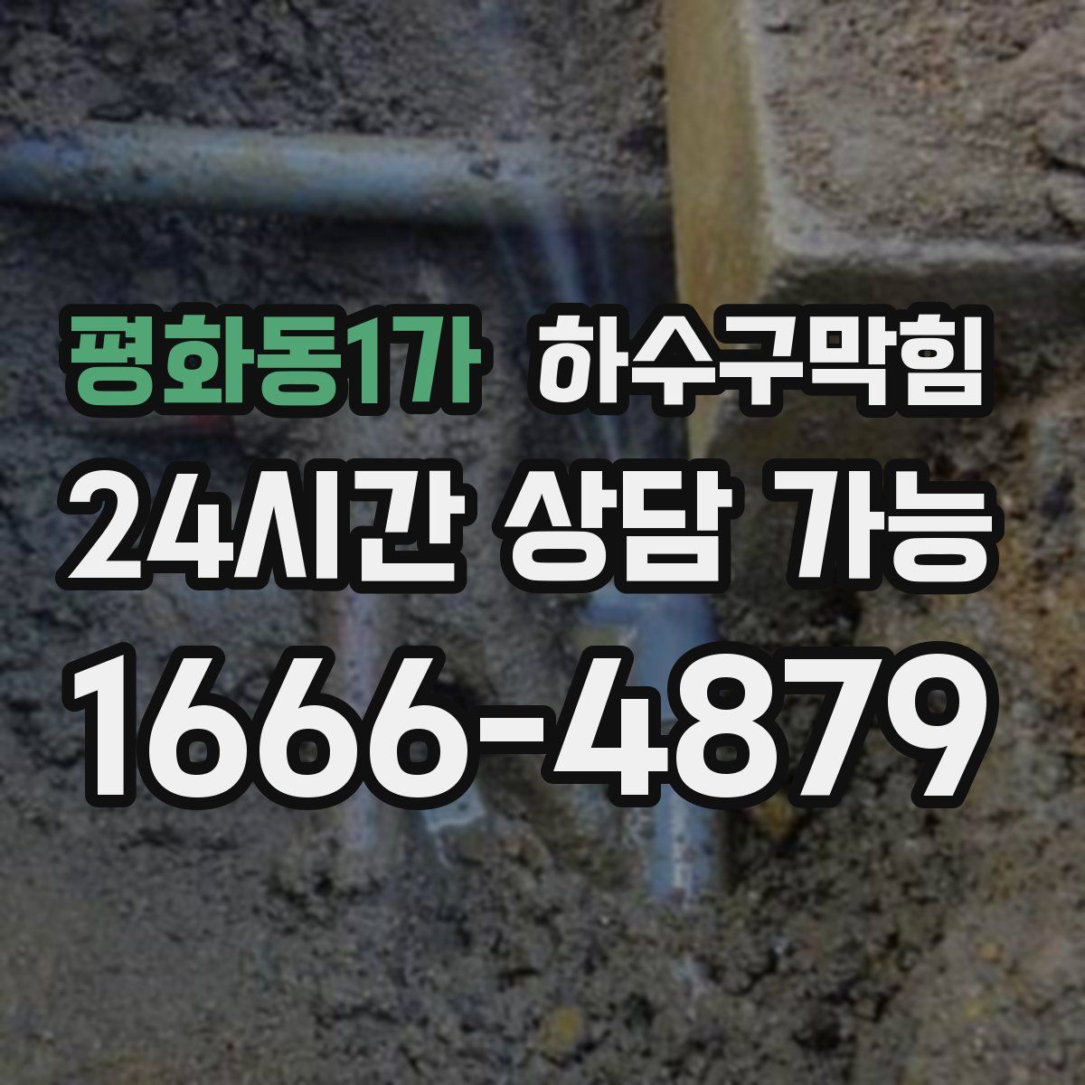 평화동1가 하수구막힘