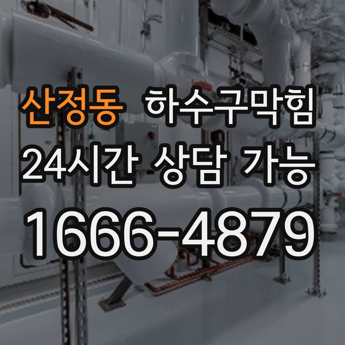 산정동 하수구막힘 반려동물 물그릇이 비워지는 속도
