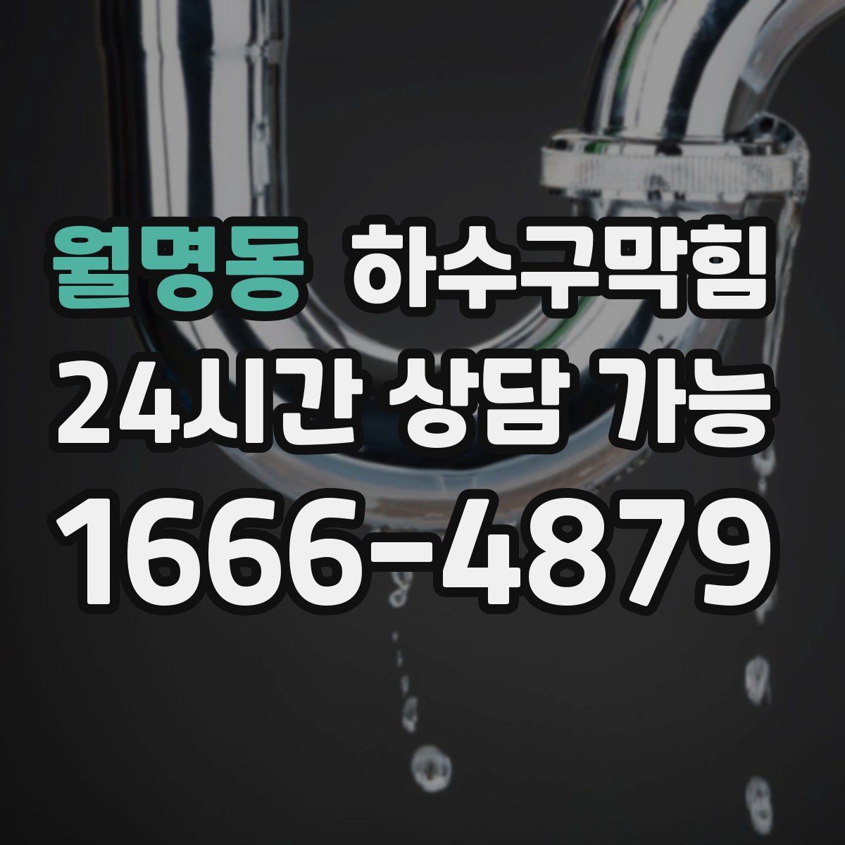 월명동 하수구막힘