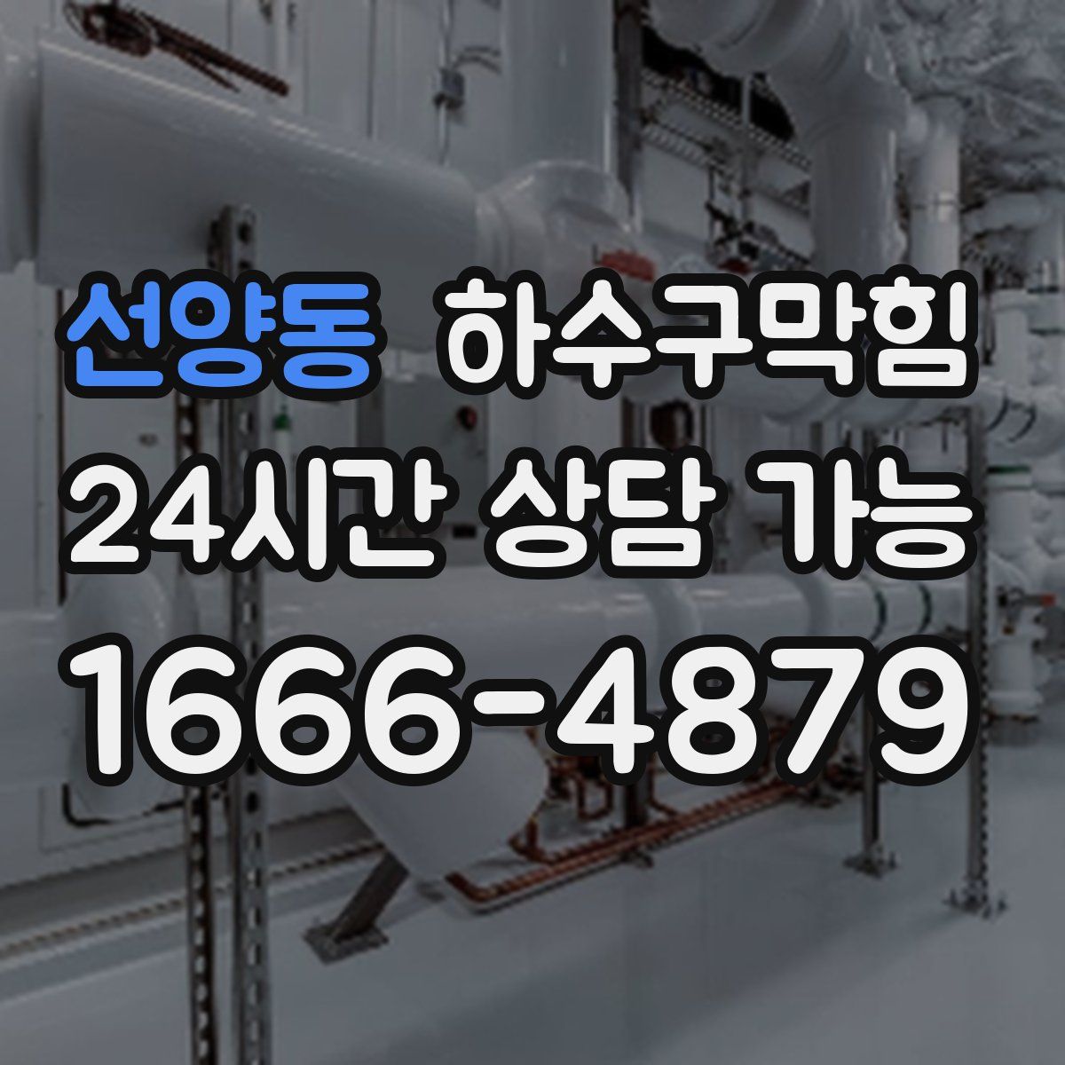 선양동 하수구막힘