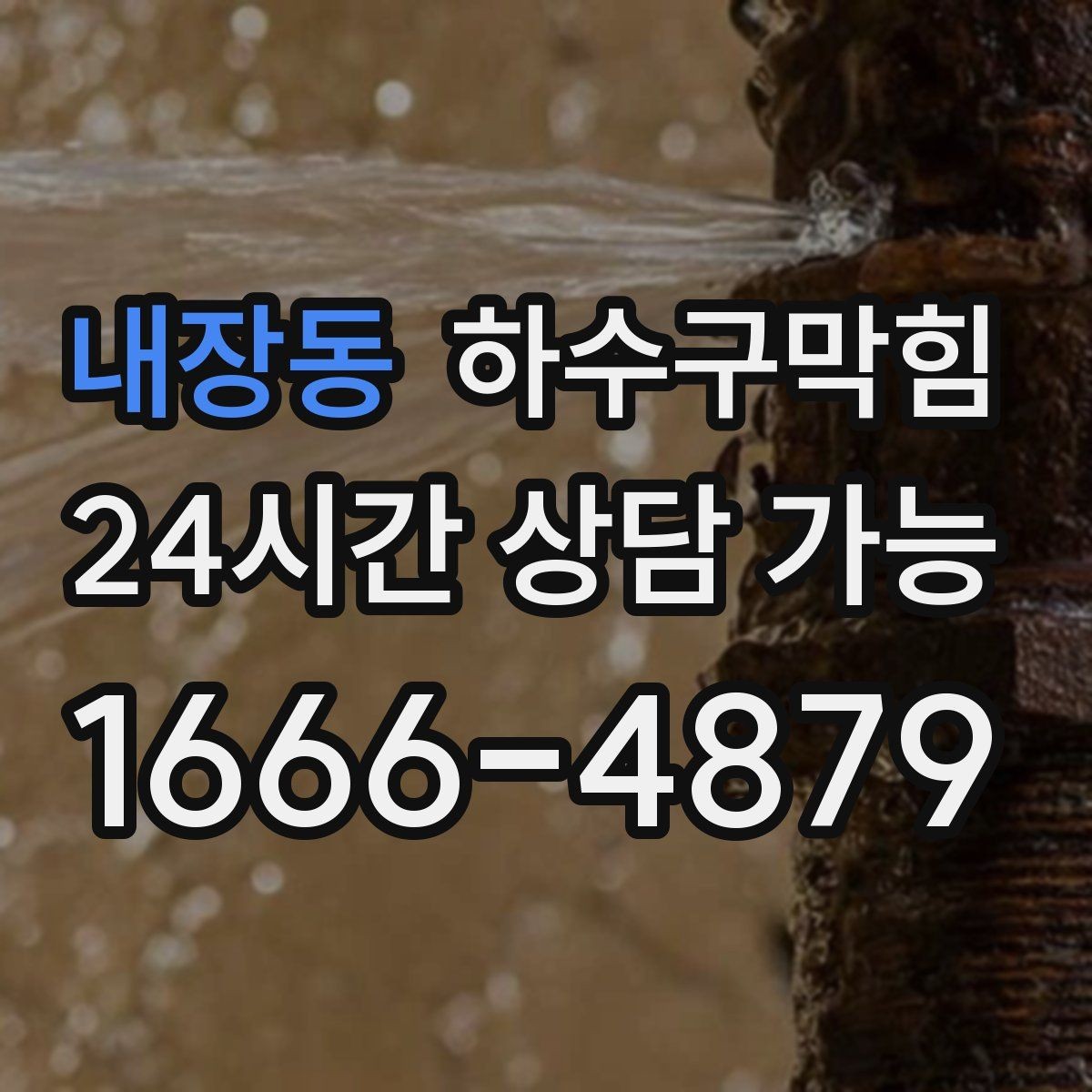 내장동 하수구막힘 제주 강원 지역 방문 일정