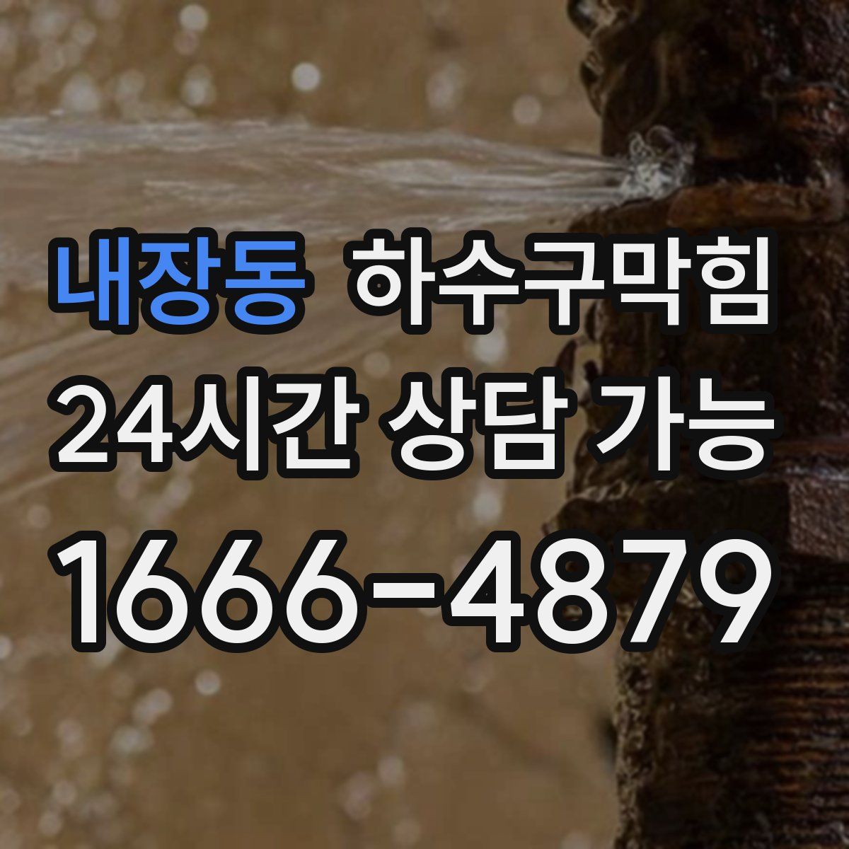 내장동 하수구막힘