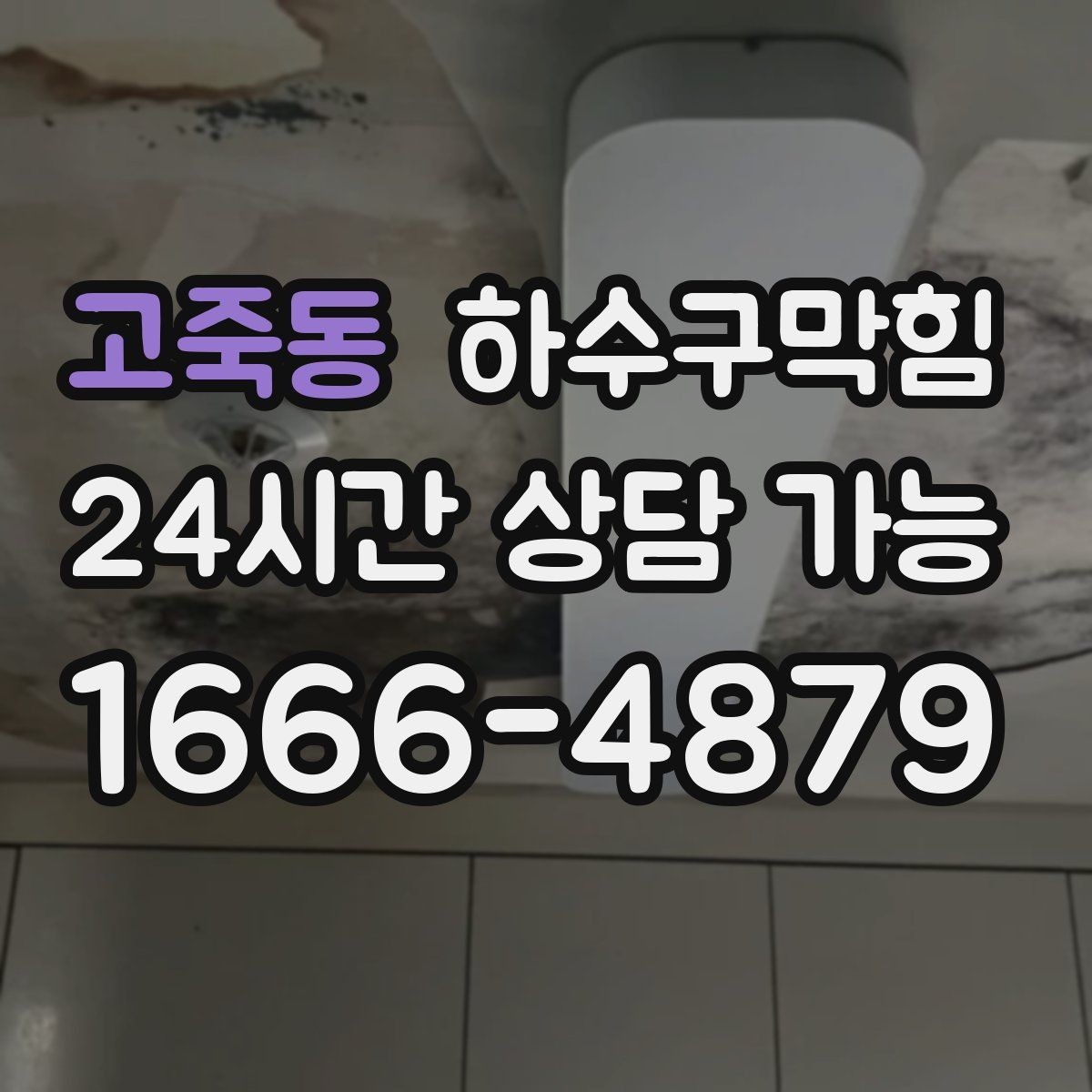 고죽동 하수구막힘 미용실 배수구막힘과 헤어 컬러의 예상 밖 연결