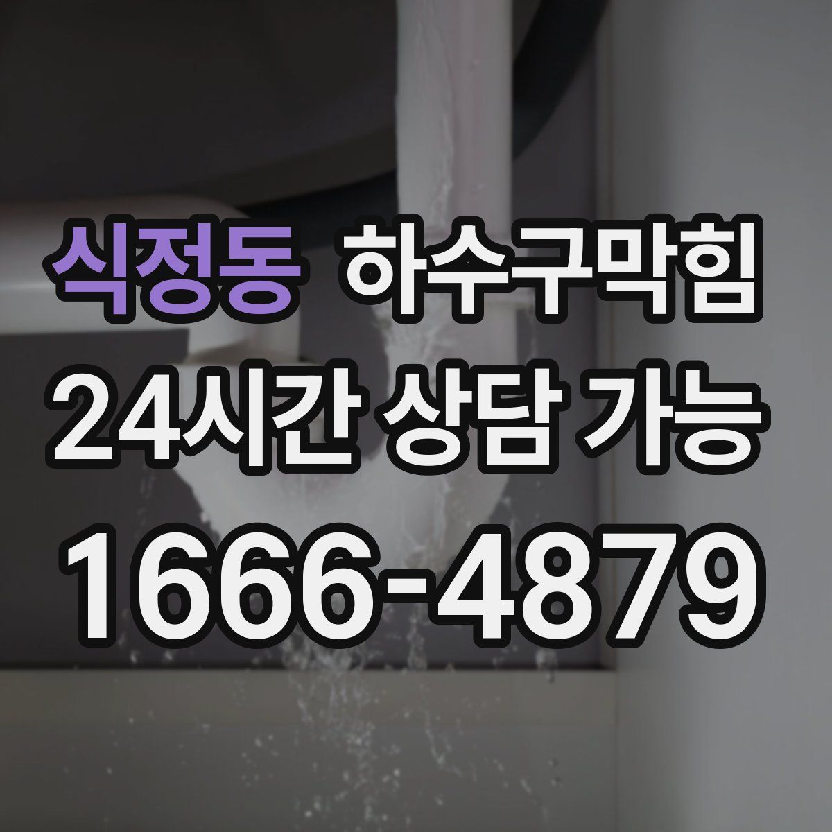 식정동 하수구막힘