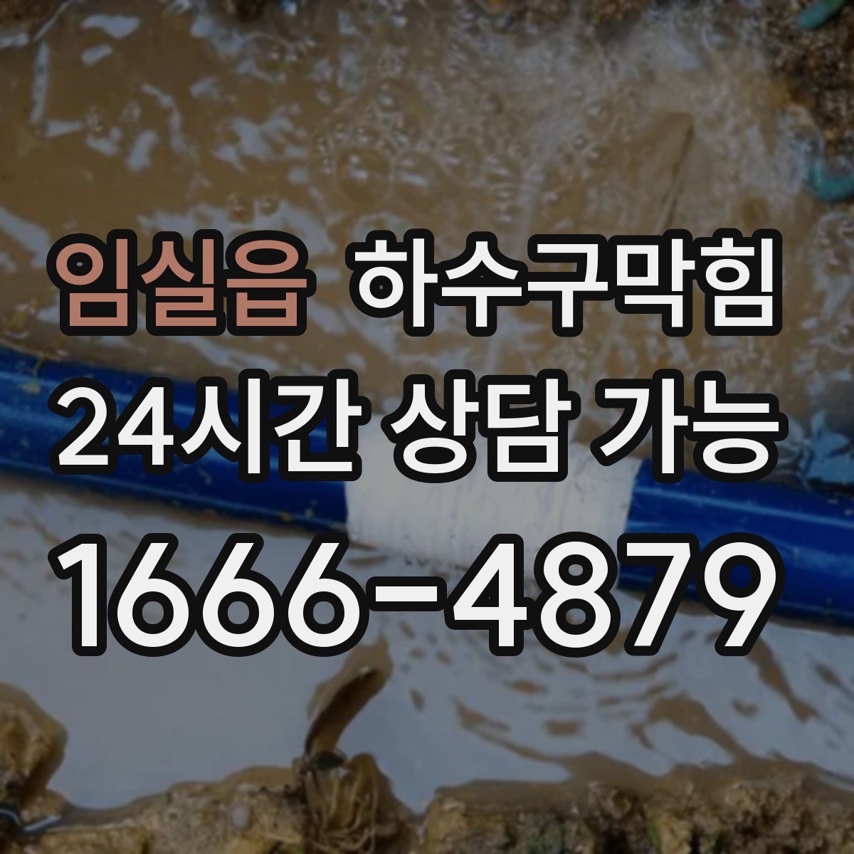 임실읍 하수구막힘