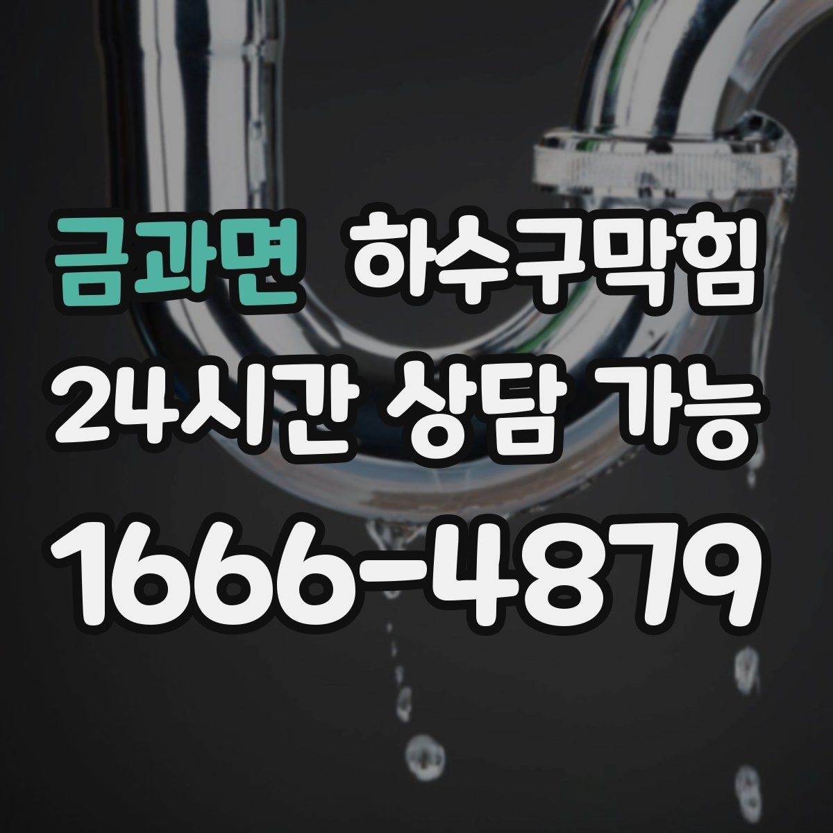 금과면 하수구막힘 장마가 끝나도 이어진 불청객의 정체