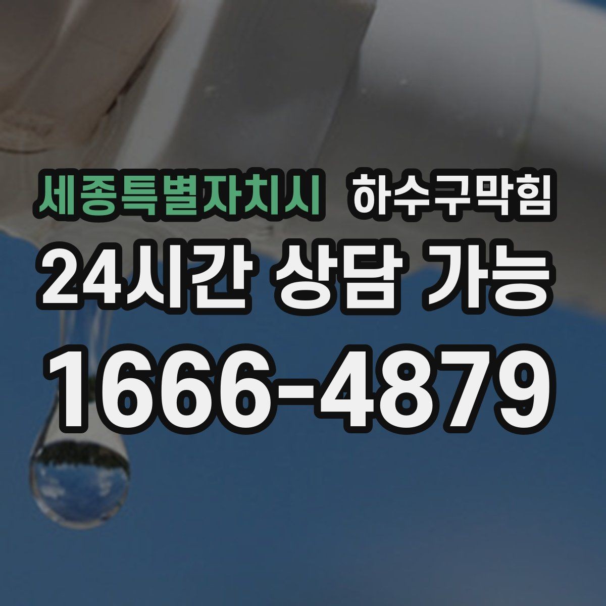 세종특별자치시 하수구막힘 포토존 바닥 러그가 젖던 이유