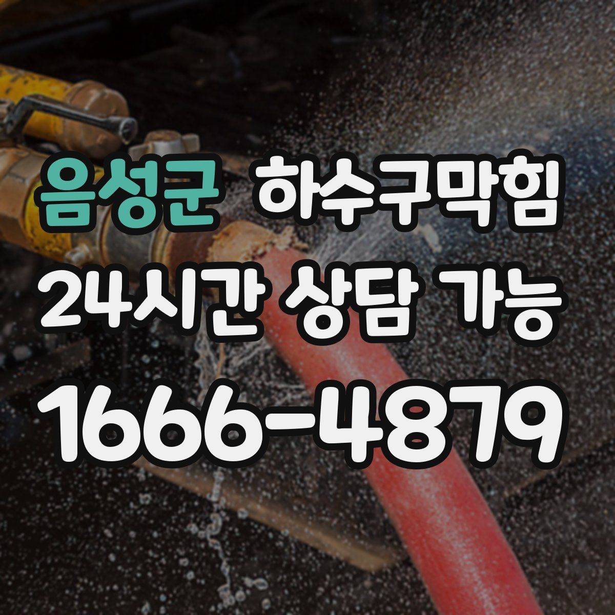 음성군 하수구막힘